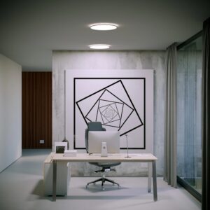 Plafoniera LED Memo, 24W, lumina calda / neutra / rece, rotunda, neagru mat, D. 294, IP54, 05-935