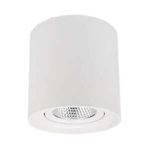 Spot LED aparent PC 01 70433, 10W, lumina neutra, orientabil, alb mat