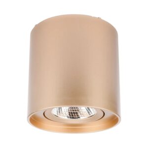 Spot LED aparent orientabil PC 01, 10W, lumina neutra, 4000K, auriu mat, 70435