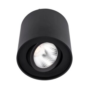 Spot LED aparent PC 01 7047, , 10W, lumina neutra , orientabil, negru mat