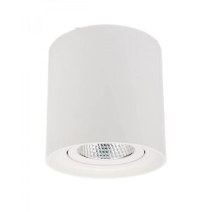 Spot aplicat orientabil PC01, alb mat, LED, 10W, 900 lumeni, D.11 cm, 70432